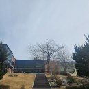 the good PC cafe | 소금빵 맛집 (More Green Yangju Bakery Cafe Visit – Large Cafe · Nature View Healing · Butter...