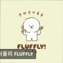 플러플리 FLUFFLY 네이버블로그