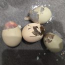 참다운농장 이미지