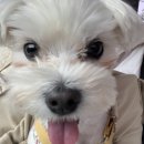 로엘유치원 이미지