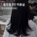 신유헤어 | 풍무동 1인 미용실 추천 :: 주니크헤어 위드 바버링 톤다운 염색 만족 후기