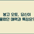 오토오토 티스토리