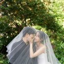 리브레헤어 네이버블로그