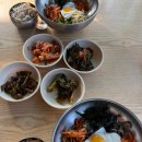 (주)풍경인소풍 | 제주도 2박3일 여행 1일차 후기｜3월 제주 동쪽 코스 ㅣ세화 맛집 추천