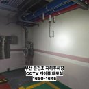 온천초등학교 티스토리