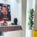 보리다방 이미지