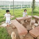 운기농장 이미지