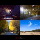 가을의 온새미로 이미지