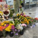 [광주 광산구] 송정역 맞이방 내 저렴한 꽃집 추천, 시나 플라워🌸🌼💐