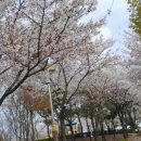 원신근린공원 이미지