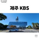 제주담다 KBS제주점 구내식당 일반인 개방(가격, 이용후기)