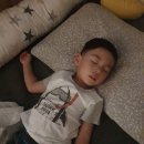 [5세 책육아] 46개월4일 / 엄마는 뭐하는 사람이지요?(5세의 대답은??)