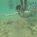 F63 | 3박 4일, 세부 여행 기록(1)