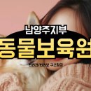 동물보육원 용인지부 이미지