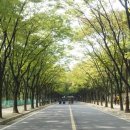 송내역남부 이미지