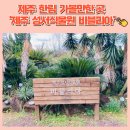 비블리아성서식물원 | 제주 한림 가볼만한곳 추천 '제주 성서식물원 비블리아' 인생샷 명소!
