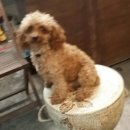 송촌2리 이미지