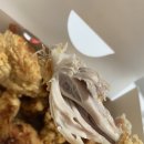 후라이드참잘하는집(가경.복대점) | [청주 치킨맛집] 후라이드는 진짜 여기가 최고ㅜㅜ"후라이드참잘하는집 가경복대점"! 리뷰!