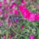 보물선어린이공원 이미지