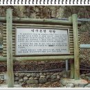 응봉산농장 이미지