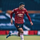 그린우드 이미지