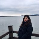 섬안애 이미지