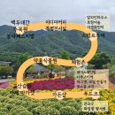 춘양로 | 2025 봉자페스티벌 국립백두대간수목원 스탬프투어 후기
