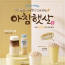 아침햇살 이미지