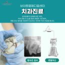 브이케어동물병원 이미지