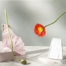 하나헤어 네이버블로그