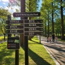 메타길5(어린이프로방스) 이미지