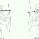 원앤온리피티 이미지