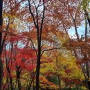 수선정사 이미지