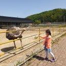 송암어린이공원 이미지