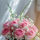 하얀노을 이미지