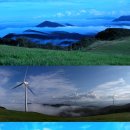 열린목장 이미지