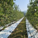 음지농장 이미지