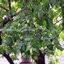 사랑의 손 경로식당 이미지