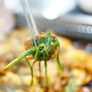 석산오리 이미지