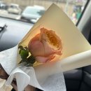 [W7. 맞춤정장 포튼가먼트 부천점 / 벨레토] 신랑 예복 대여 양복 테일러샵 비교 추천 내돈내산 결혼준비