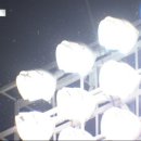 종합경기장(야구장) 이미지