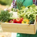 신용농장 이미지