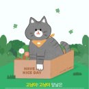 [블챌] 주간일기 10주차(8월 8일 ~ 14일) 나의 한주간 일상