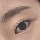 가수원로 | 관저동속눈썹펌추천 유브로우솔직후기