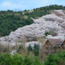 하얀풍경 이미지