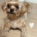 고산연합약국 이미지