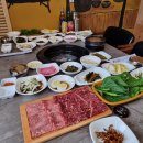 신신한우