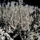 여난농장 이미지