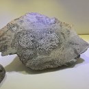 청송수석꽃돌박물관 이미지