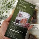 스탠다드푸들 시월이의 리얼 후기 반려견 홍삼간식으로 건강 챙긴 이야기